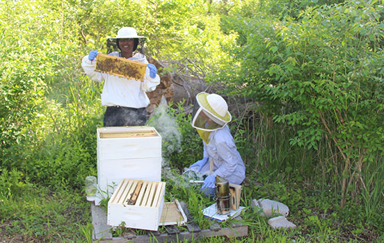 fellows_cohort1_beewisefarms.JPG