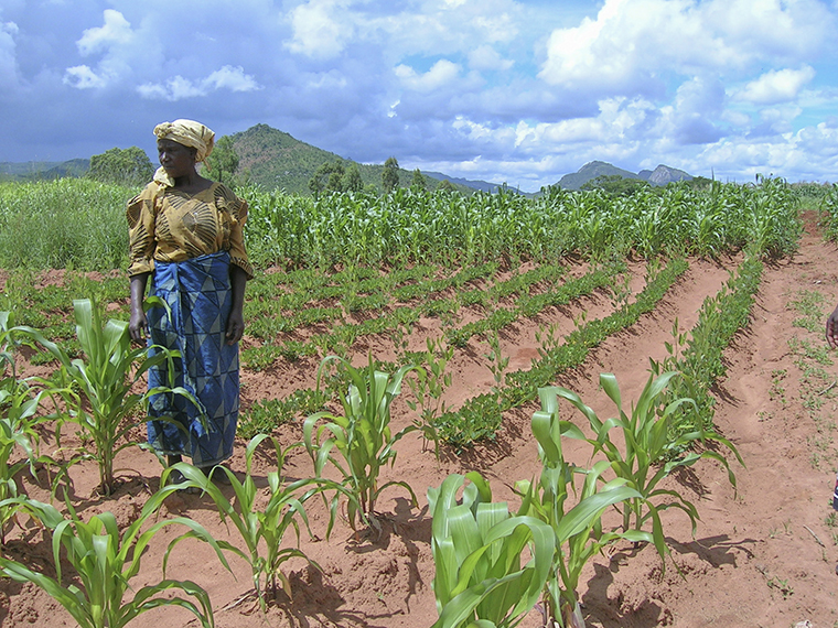 african-woman-in-crops-1.jpg